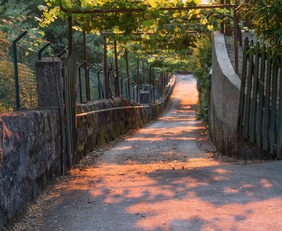 Quinta Das Leiras Санту-Тірсу Екстер'єр фото